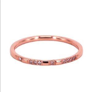 Titanium Steel 14K Rose Gold Plated Pave Cubic Zirconia Band Ring